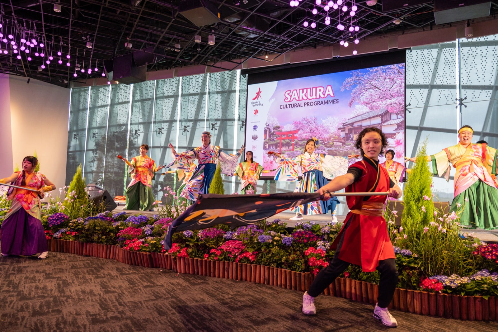 Yosakoi performance
